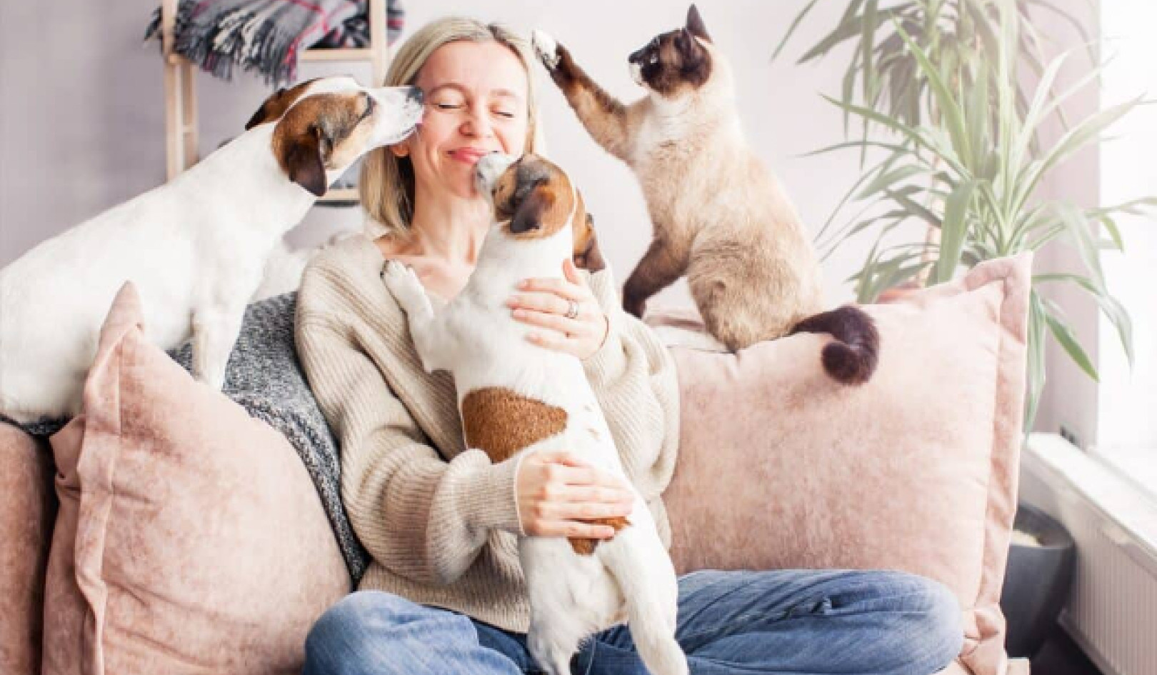 How Dogs and Cats Bond with Us Through the Love Hormone